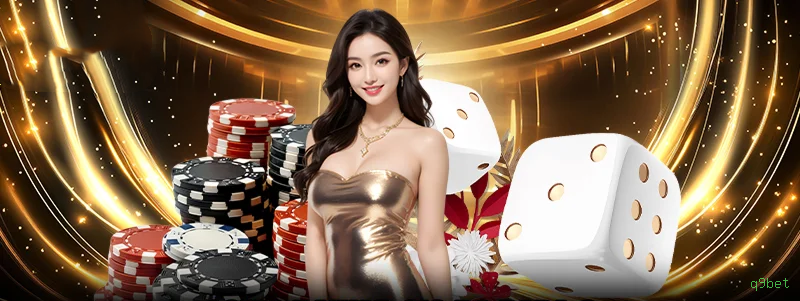 Download app q9bet Android iOS
